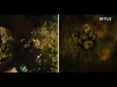 Narcos: Mexikó - 1. évad