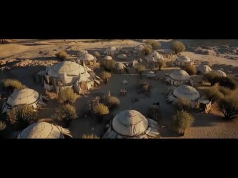 Predator: Wastelands