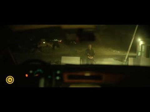 A köztársaság sasmadarai