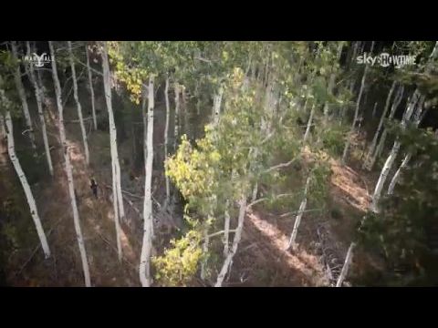 Marshals: Egy Yellowstone történet