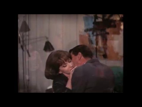 Idegen hálótársak