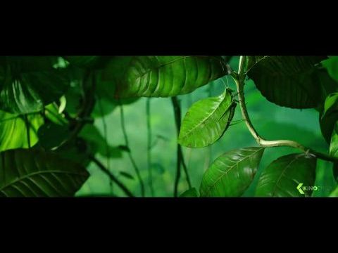 Csodabogarak: Az elveszett hangyák völgye