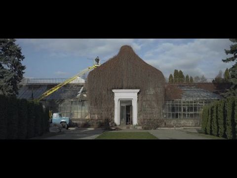 The Winter Garden's Tale