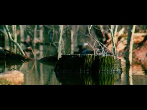 The Legend of Boggy Creek
