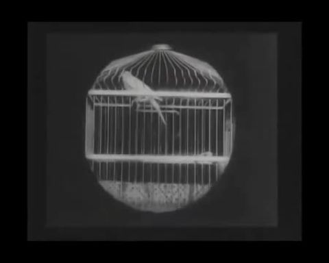 A nagymama nagyítója