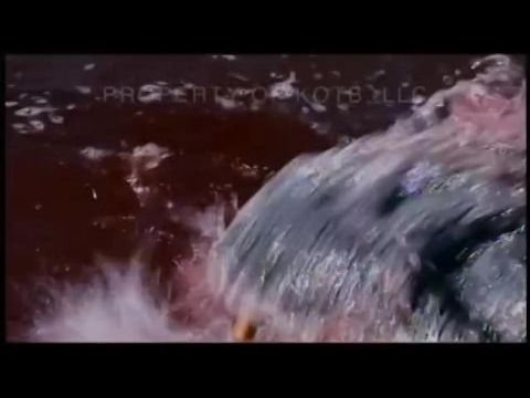 Corman's World: Exploits of a Hollywood Rebel