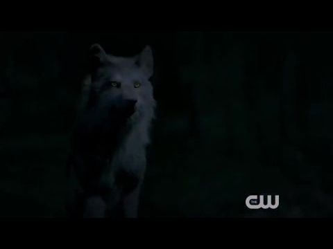 Legacies - A sötétség öröksége 