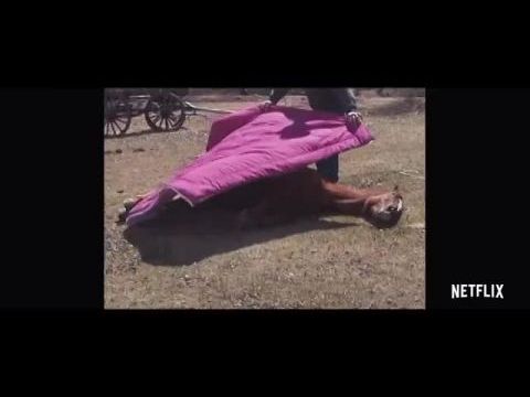 A hőseim cowboyok voltak