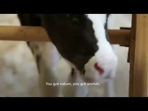 A Hatcher család: Élet a farmon