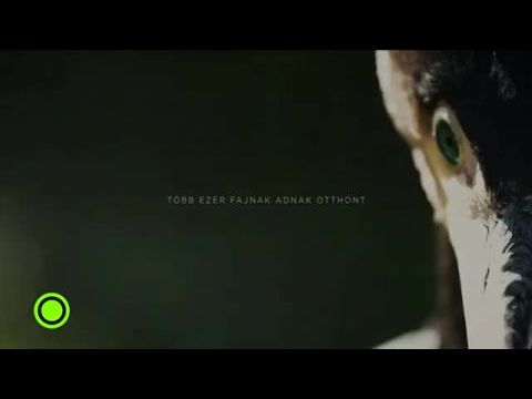 Múlt és jelen: Vizeink az ember kezében