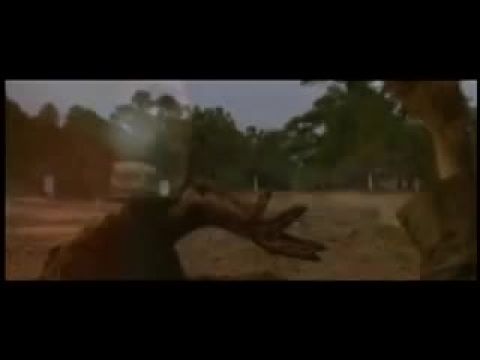 Vámpírok: A gyilkos csapat