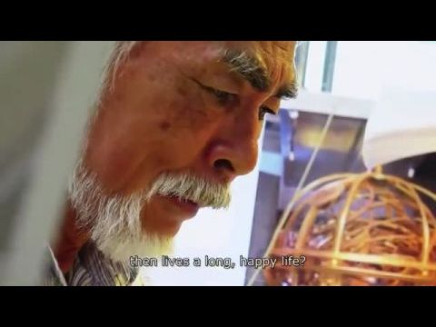 Miyazaki Hayao és a szürke gém