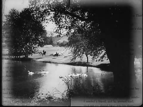 Dover fehér sziklái