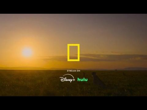 A gepárdok világa Bertie Gregoryval