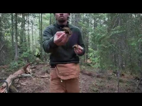 Extracted - 2. évad